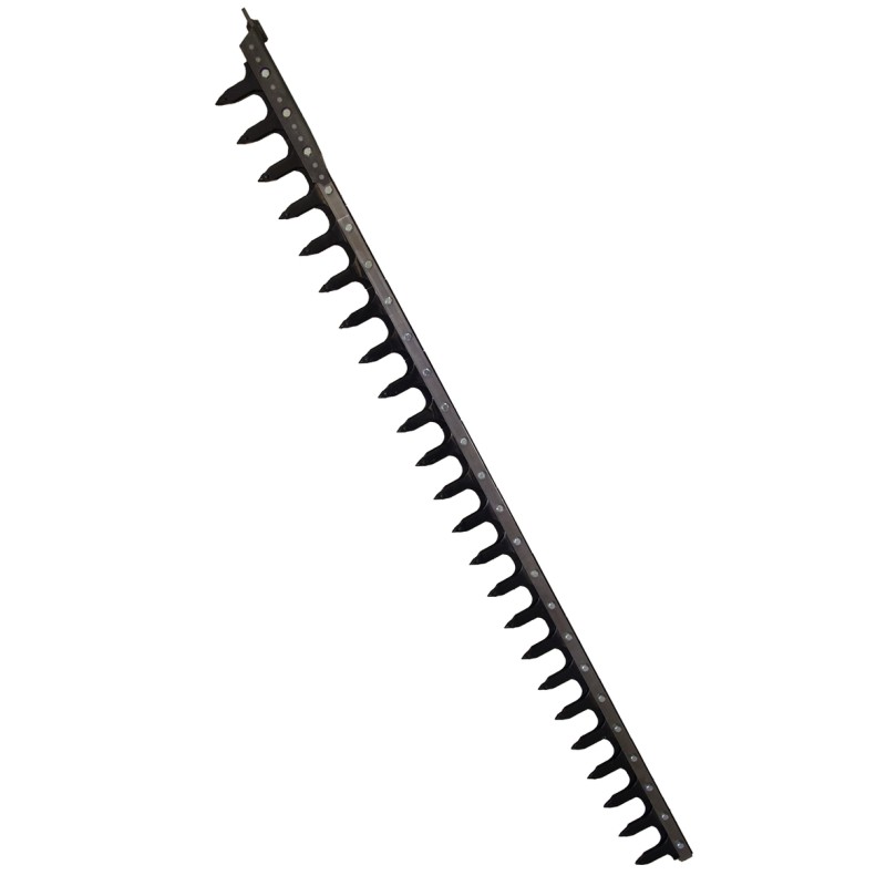 Dentiera 14 denti lunghezza 2,05 mt adattabile a Gaspardo FBR 13013770