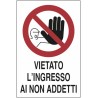 Cartello segnaletica divieto 30x20