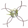 Testina universale multifilo