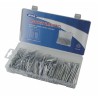Set assortito con 555 coppiglie standard