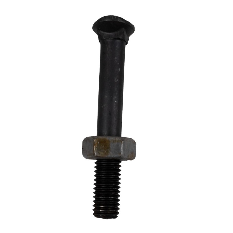 Bullone testa ovale M10x70 con dado