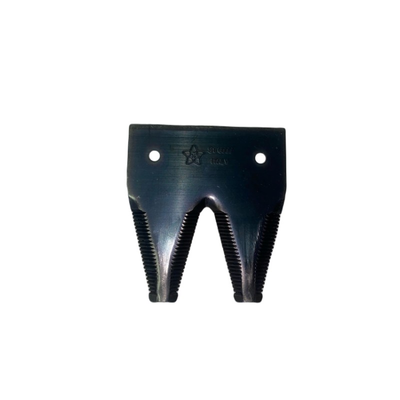 Sezione doppia ST6000 per pomodori brunita