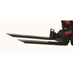 Forche per pallet EAG100T