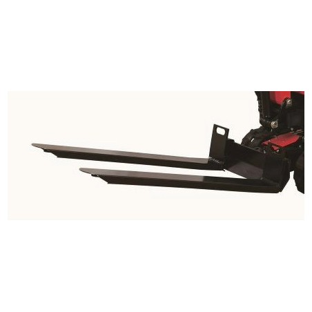 Forche per pallet EAG100T
