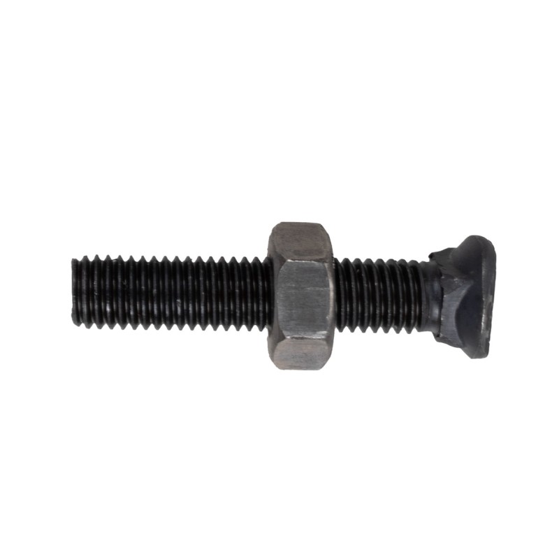 Bullone testa ovale M10x55 con dado