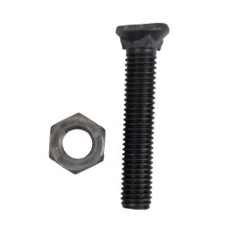 Bullone testa ovale M10x55 con dado