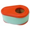 Filtro aria 55x76x119mm