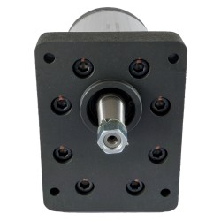 Pompa ad ingranaggi gruppo 3 da 42cc sinistra "modello standard" tipo plessey a94