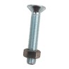 Bullone tspei M12x70