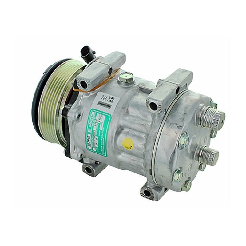 Compressore aria condizionata Sanden 6113