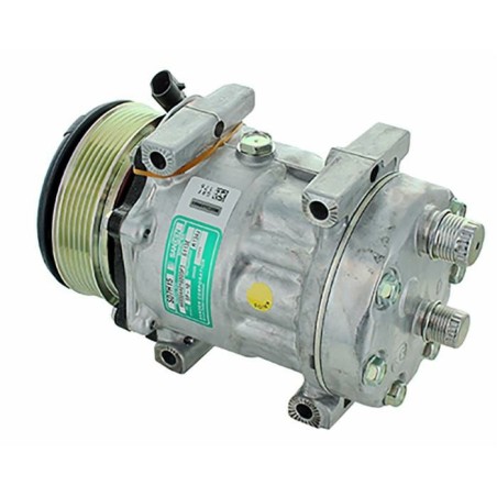 Compressore aria condizionata Sanden 6113