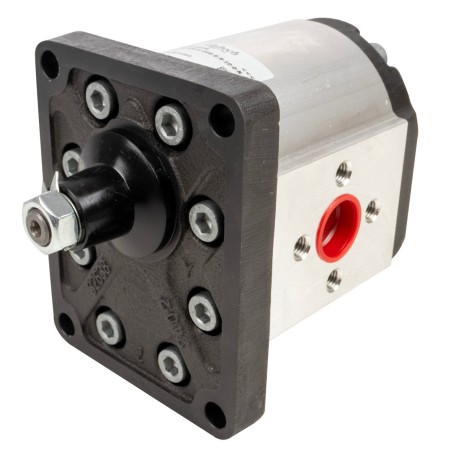 Pompa ad ingranaggi gruppo 3 30,20 CC sx