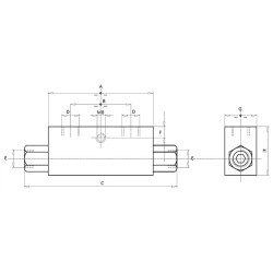 Valvola di blocco doppio effetto da 1/2"