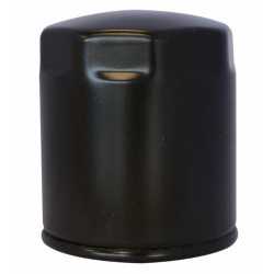Filtro gasolio riferimento adattabile al riferimento originale trattori Lombardini 2175,045