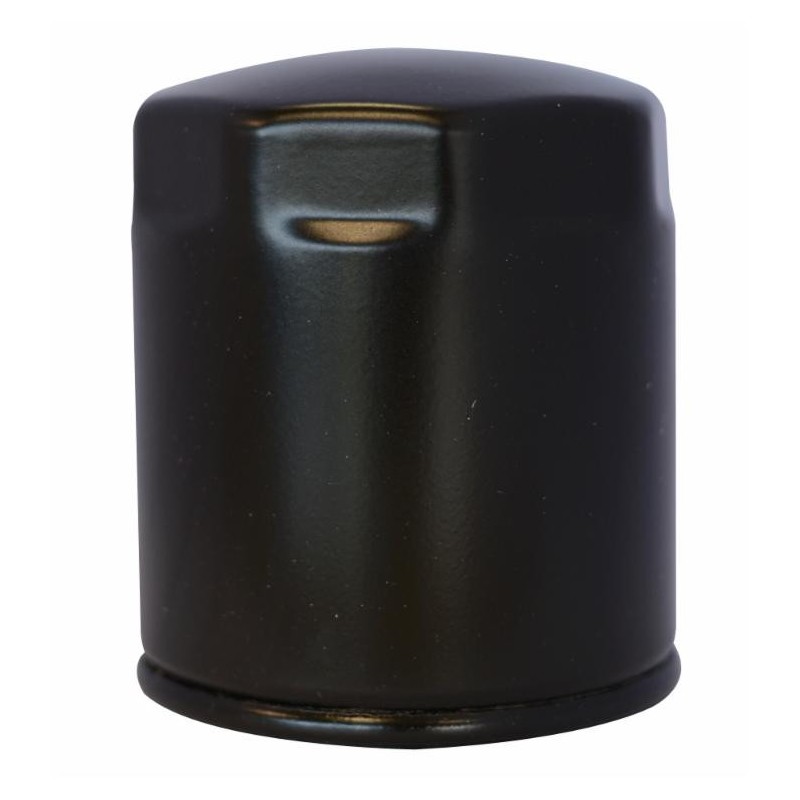 Filtro gasolio riferimento adattabile al riferimento originale trattori Lombardini 2175,045