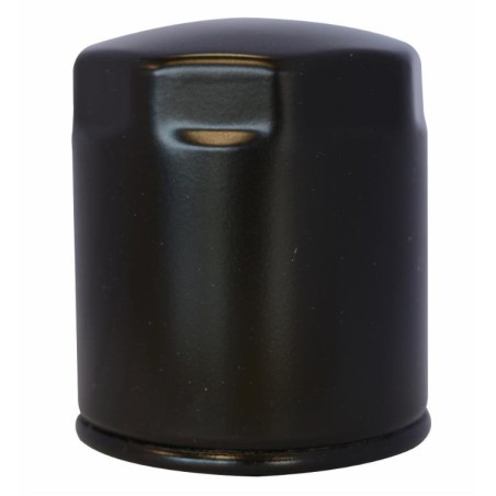 Filtro gasolio riferimento adattabile al riferimento originale trattori Lombardini 2175,045