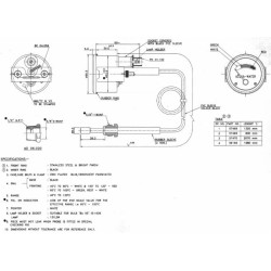 Indicatore temperatura acqua capillare adattabile a Fiat  4126690, 4217724 e 4058433.
