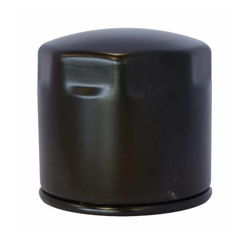 Filtro nafta adattabile al riferimento originale Kubota 15221-43080