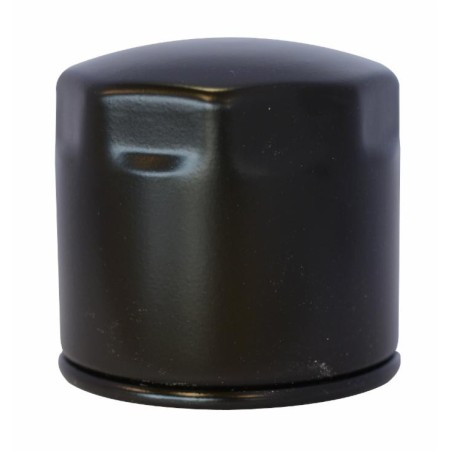 Filtro nafta adattabile al riferimento originale Kubota 15221-43080