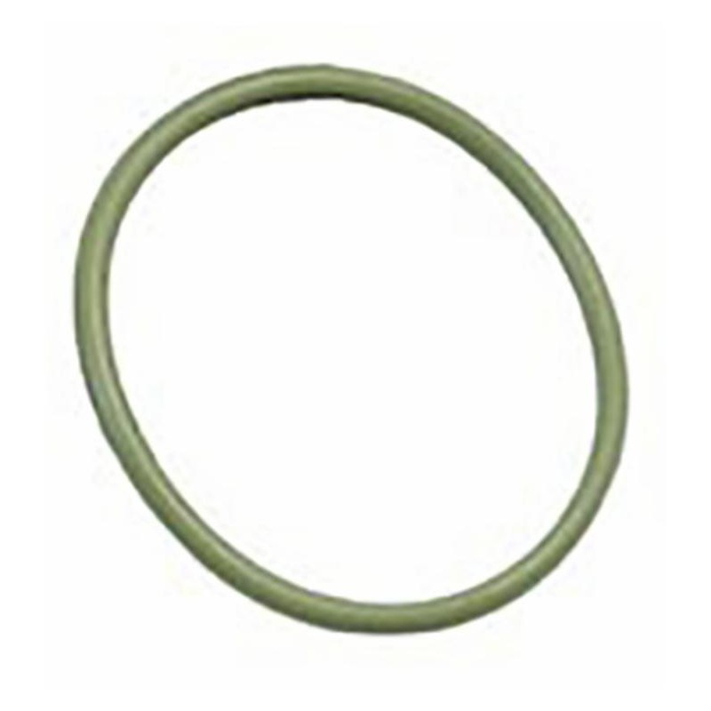O-ring VitonÂ® per valvole adattabile Arag ad G10071V
