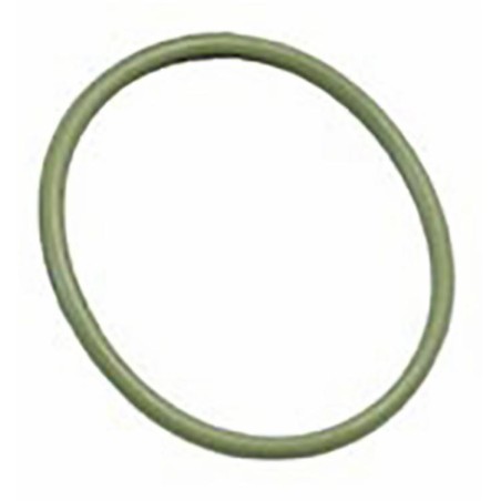 O-ring VitonÂ® per valvole adattabile Arag ad G10071V