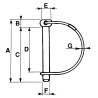 Spinotto motozappa Ã¸6,5x50mm