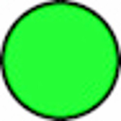 Filo per decespugliatore Evergreen da 15m sezione tonda Ã˜ 3mm