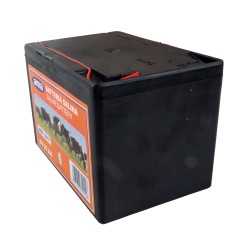 Batteria Ama in zinco carbone per recinti elettrici 9V 55A