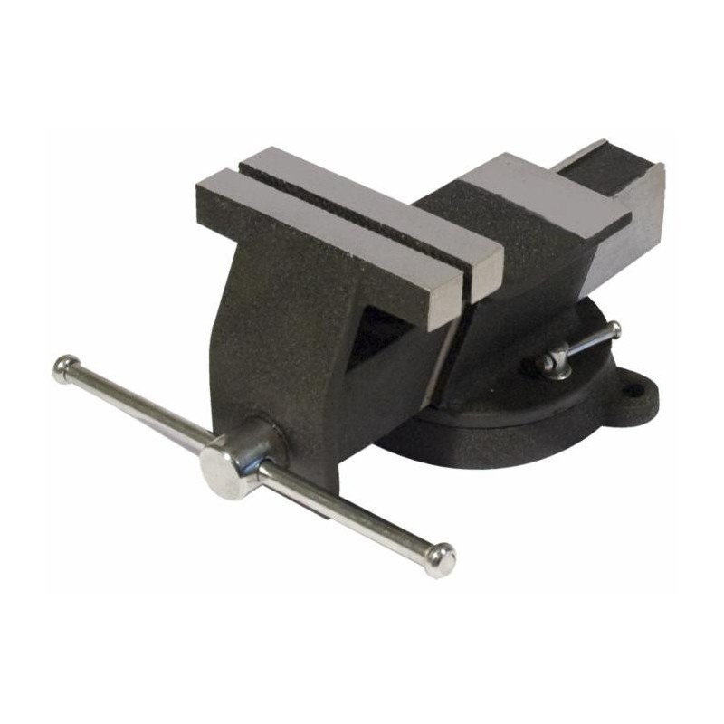 Morsa da banco in acciaio con base girevole 125mm