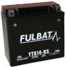 Batteria Fulbat per trattorini tagliaerba da 12V 12Ah con acido