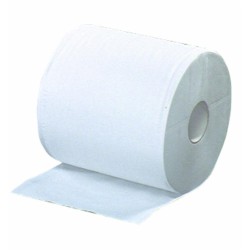 Rotolo asciugatutto di carta 800 strappi