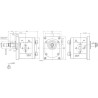 Pompa ad ingranaggi gruppo 2 da 15cc destra "modello standard" tipo plessey c31/33