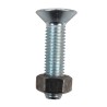 Bullone tspei M12x50