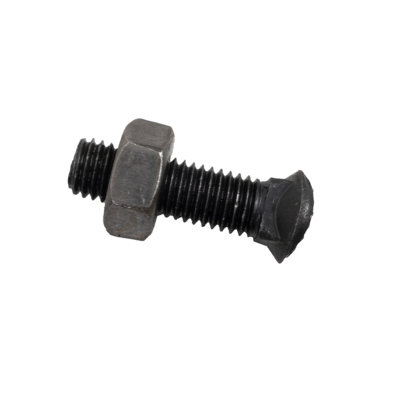 Bullone testa ovale M10x38 con dado