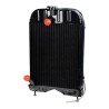 Radiatore adattabile Massey Ferguson 1660499M92