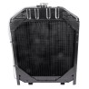 Radiatore adattabile Landini/Massey Ferguson 1824627M91
