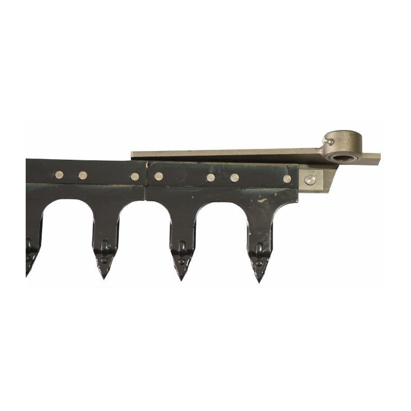 Dentiera 12 denti lunghezza 1,75 mt adattabile a Gaspardo FB 925 21120053