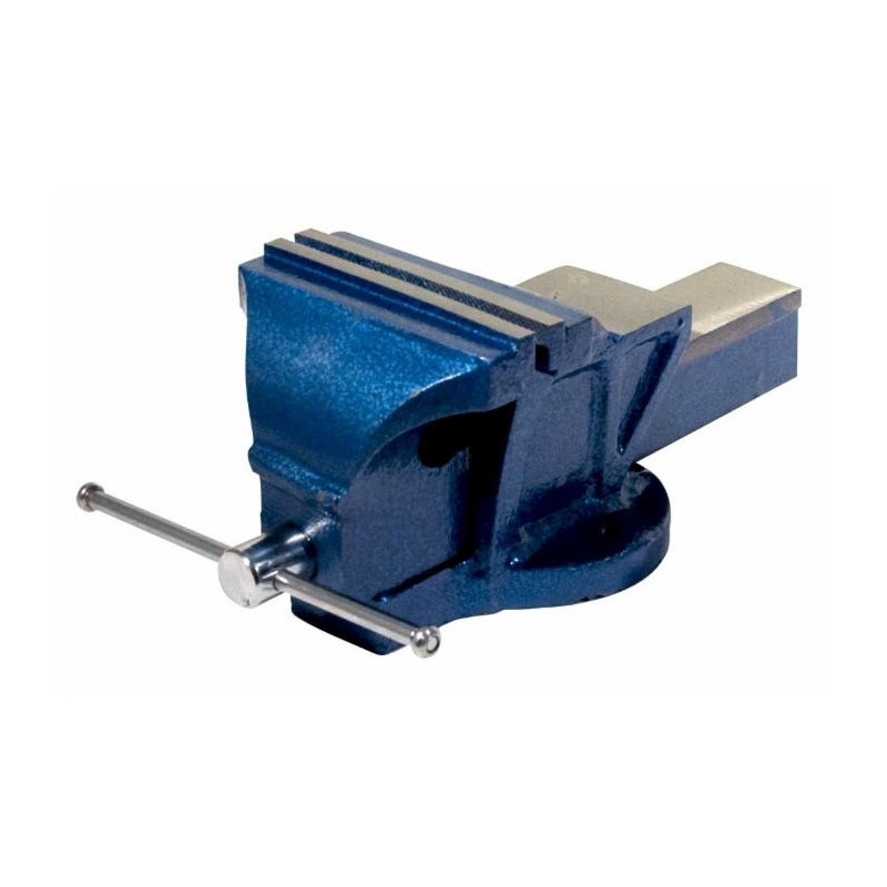 Morsa da banco in ghisa a base fissa 150 gr