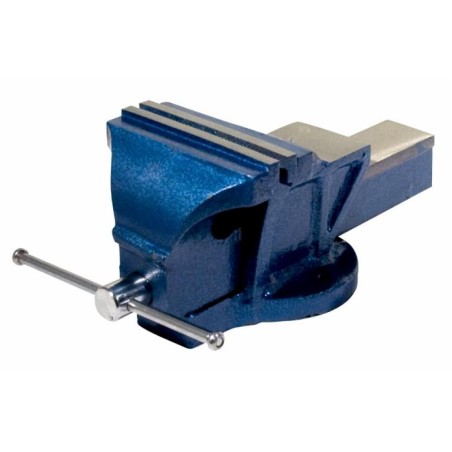 Morsa da banco in ghisa a base fissa 150 gr