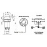 Pulsante Pneutron 12V faro lavoro