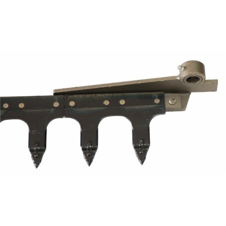 Dentiera 16 denti lunghezza 2,35 mt adattabile a Gaspardo FB940 21120258.