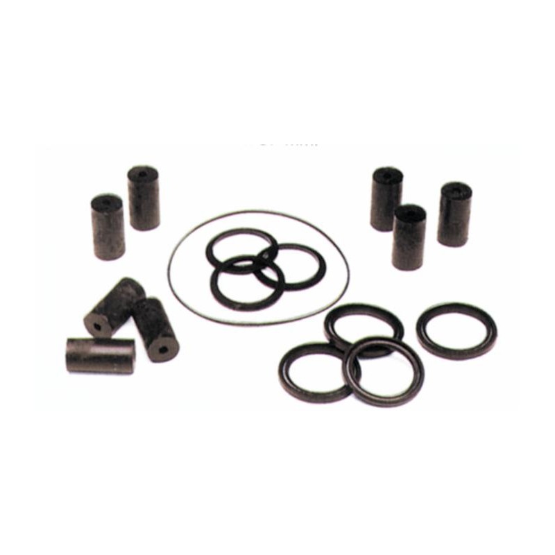 Kit riparazione pompa lavaggio MT300
