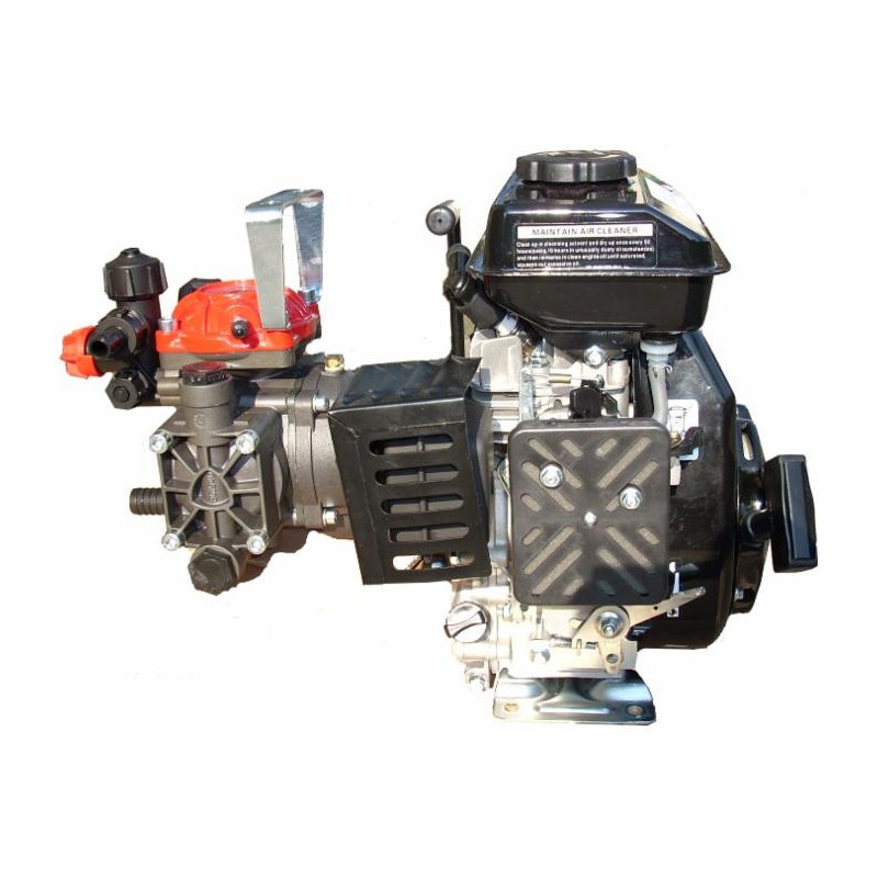 Motopompa a 2 membrane AR252 con motore 4 tempi