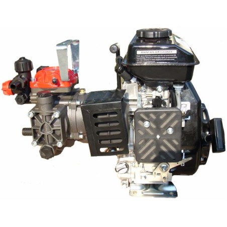 Motopompa a 2 membrane AR252 con motore 4 tempi