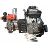 Motopompa a 2 membrane AR252 con motore 4 tempi