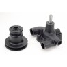 Pompa acqua adattabile Massey Ferguson 3641823M91