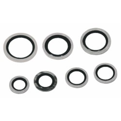 Guarnizione di tenuta â€œBondedâ€ da 1"