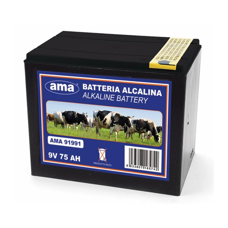 Pila alkalina 9V 175Ah