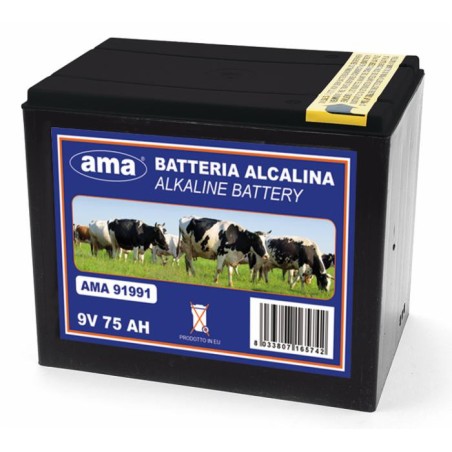 Pila alkalina 9V 175Ah