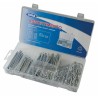 Set assortito con 260 coppiglie standard e a molla